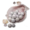 1800 Echo Beads