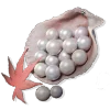 3000 Echo Beads