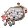 6000 Echo Beads