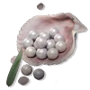 900 Echo Beads