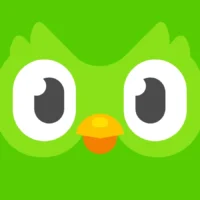 Duolingo Super 12 Meses